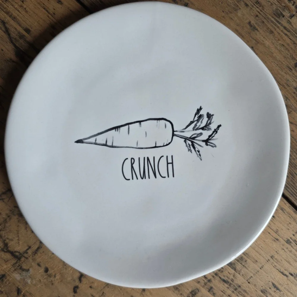 RAE DUNN Easter Appetizer Plates Set of 4 Bunny Chick Egg Carrot White‎ 6in Dish